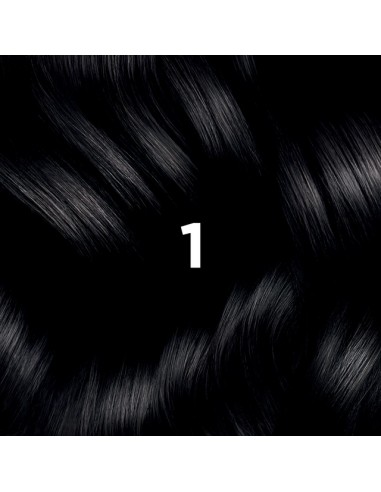 PHYTO COLOR Coloración Permanente 1 Negro