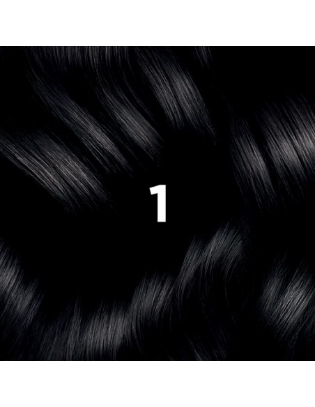 PHYTO COLOR Coloración Permanente 1 Negro