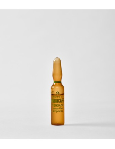 ENDOCARE Tensage Protocolo Reafirmante: Crema Nutritiva + Ampollas
