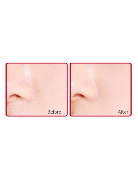 ROUND LAB Camelia Deep Collagen Firming Sun Serum SPF 50+ PA++++