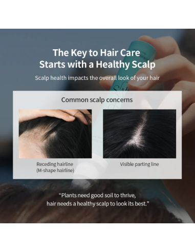 Lazartigue champú extra purificante 250 ml