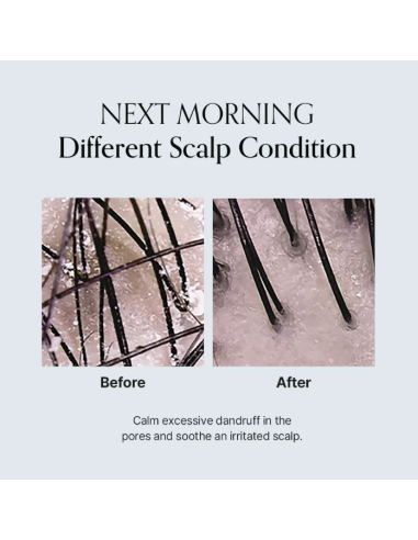 Lazartigue champú extra purificante 250 ml