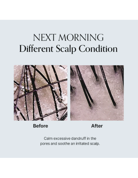 Lazartigue champú extra purificante 250 ml