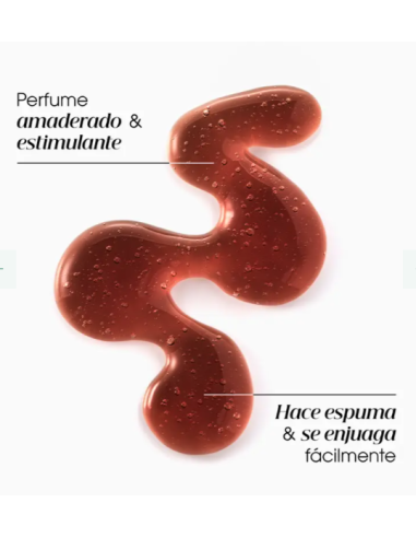 KLORANE Quinina Champú Anticaída 400 ml