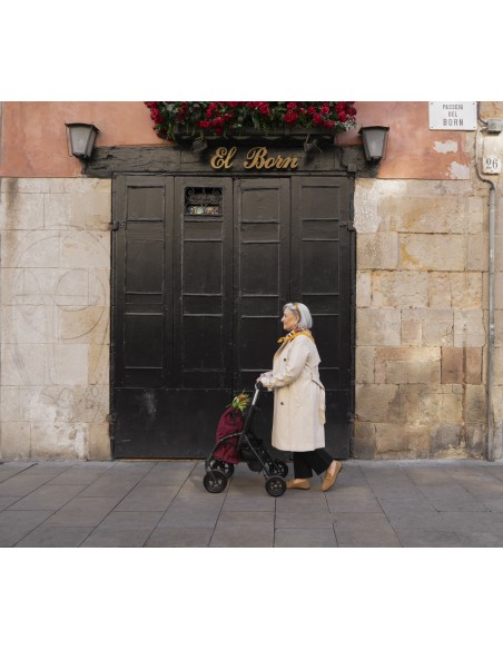 PLAYCARE R05 Andador Carro de la Compra Color Rojo Cranberry