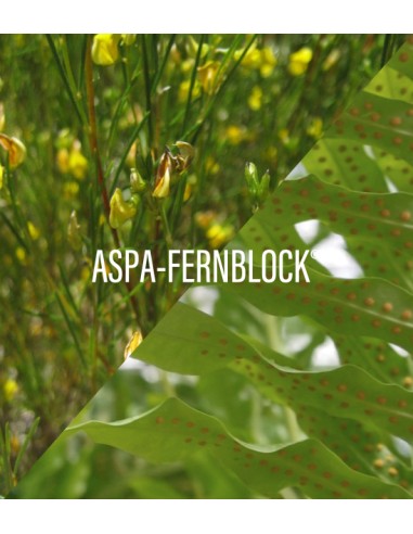 FER HELIOCARE 360º D Plus 30 cápsulas