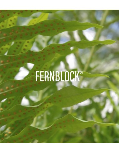 HELIOCARE 360º Invisible Spray SPF 50+ PACK DUPLO 2 x 200 ml