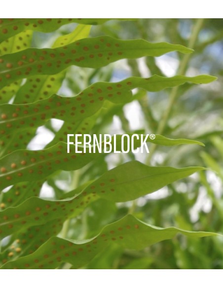 HELIOCARE 360º Pediatrics SPF 50+ PACK Mineral 50 ml + Atopic Lotion Spray 200 ml