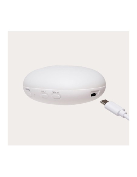 little dutch pulpo océano azul