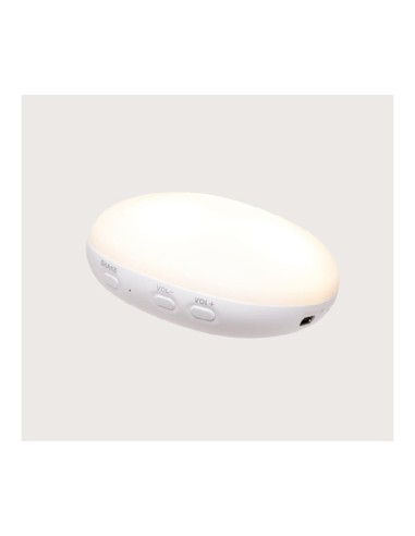 little dutch pulpo océano azul