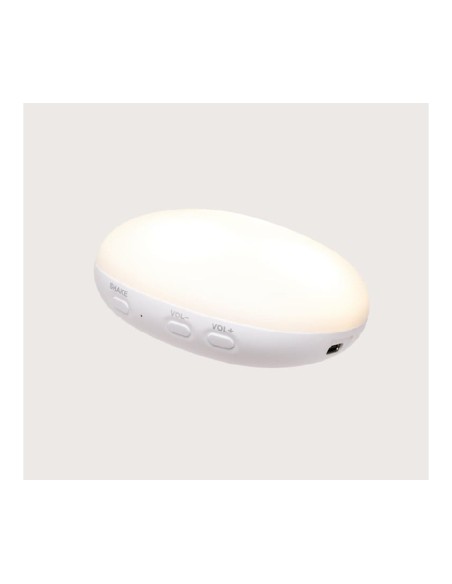 little dutch pulpo océano azul