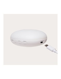 little dutch pulpo océano azul 2