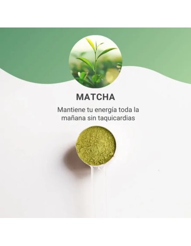 BAÏA Matcha Orgánico Ceremonial