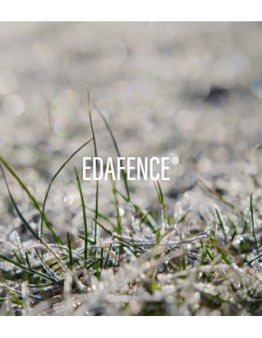 ENDOCARE Radiance C Ferulic Sérum Gel