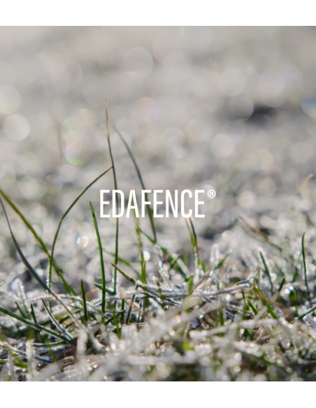 ENDOCARE Radiance C Ferulic Sérum Gel