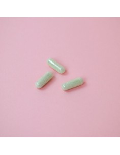 VITAE IntestVita One per Day 15 cápsulas 2