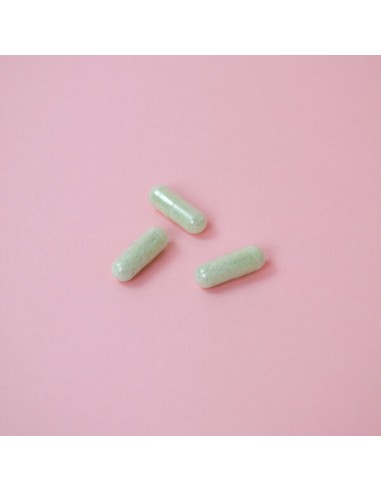 VITAE IntestVita One per Day 15 cápsulas