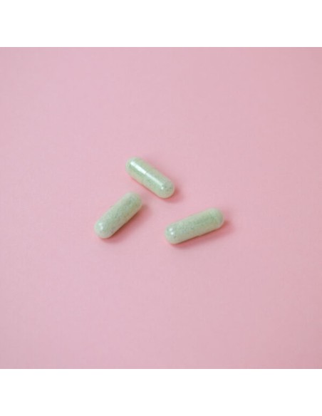 VITAE IntestVita One per Day 15 cápsulas