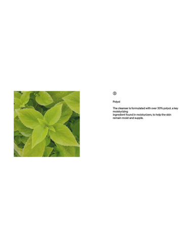 B:LAB Matcha Hydrating Foam Cleanser 8:2 - Espuma Limpiadora 120 ml