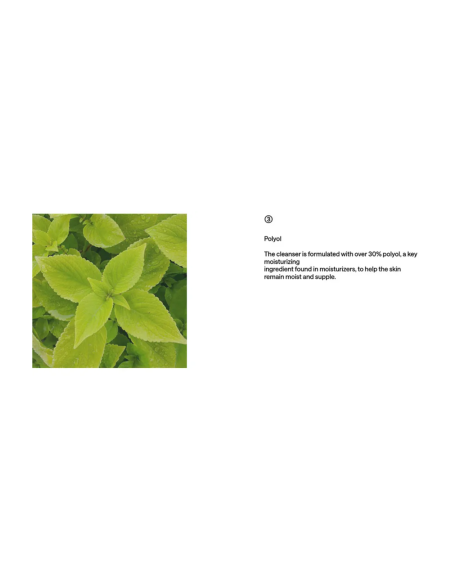 B:LAB Matcha Hydrating Foam Cleanser 8:2 - Espuma Limpiadora 120 ml