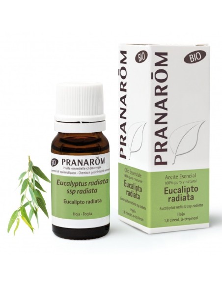 PRANARÔM ACEITE ESENCIAL Eucalipto Radiata BIO 10 ml