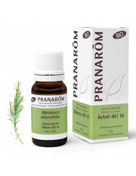 PRANARÔM ACEITE ESENCIAL Árbol del Té BIO 10 ml