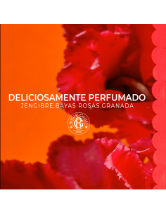ROGER & GALLET Gel de Ducha - Gingembre Rouge 2