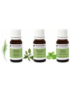 PRANARÔM Los Imprescindibles aceites BIO 3 x 5ml 2