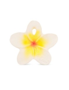 Oli & Carol Fruits & Veggies Manolo the mushroom