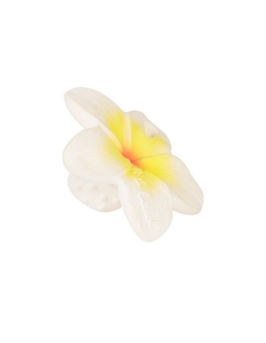 Oli & Carol Fruits & Veggies Manolo the mushroom