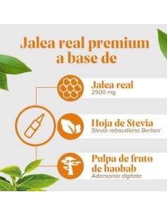 ARKOPHARMA Arkoreal Mega Forte jalea real fresca premium 20 ampollas 300 ml 2