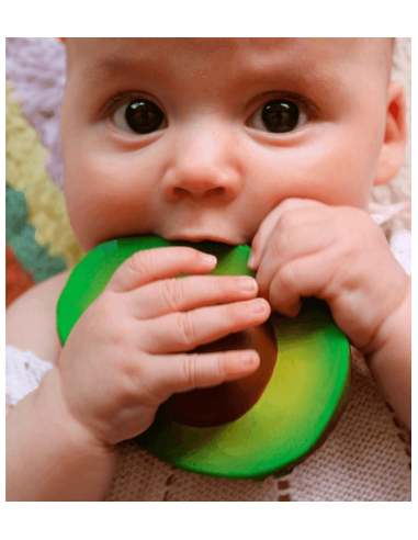 OLI&CAROL DIY Arnold the advocado