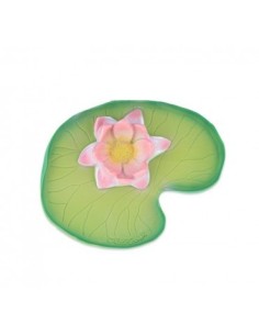 Oli & Carol water lily