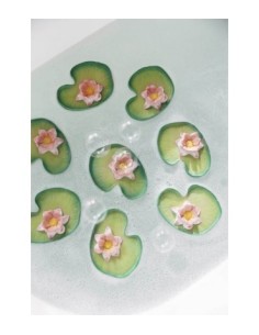 Oli & Carol water lily 2