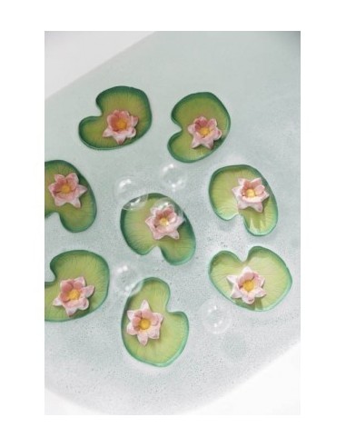 Oli & Carol water lily