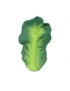 Oli & Carol Fruits & Veggies Kendall the kale