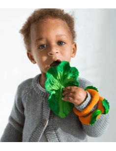 Oli & Carol Fruits & Veggies Kendall the kale 2