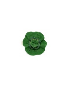 Oli & Carol Fruits & Veggies Brucy the broccoli