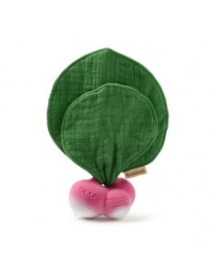 Oli & Carol Fruits & Veggies Brucy the broccoli