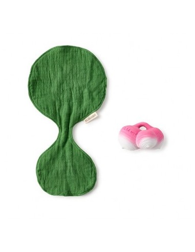 Oli & Carol Fruits & Veggies Brucy the broccoli