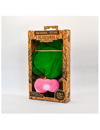 Oli & Carol Fruits & Veggies Brucy the broccoli